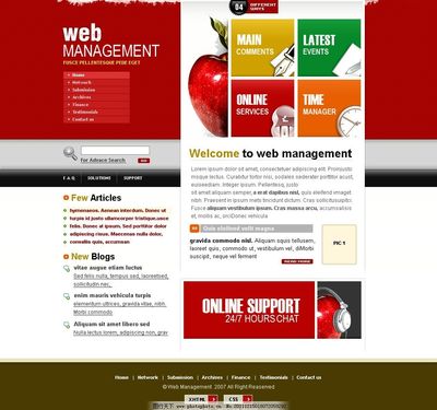 網(wǎng)頁(yè)設(shè)計(jì)中的模板圖片 提升效率與美感的完美結(jié)合